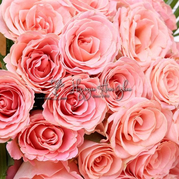 Esperance Roses