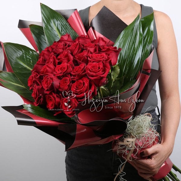 Explorer Roses