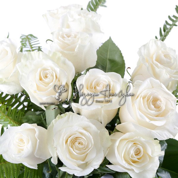 White O'Hara