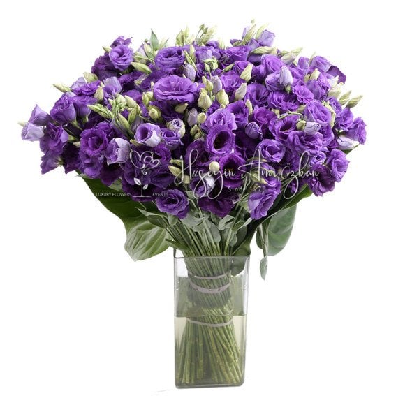 Purple  Eustoma Lisianthus