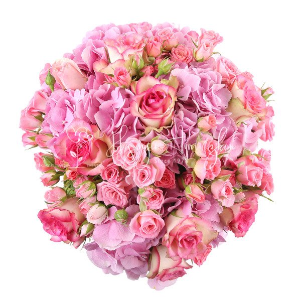 Verena Pink Box