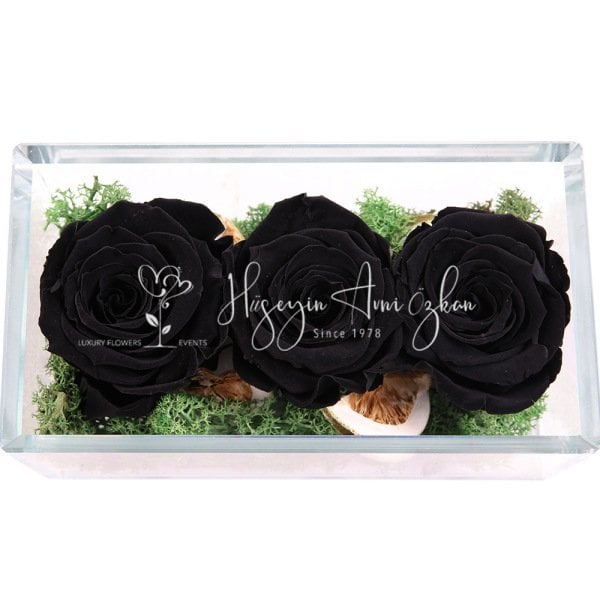 Black Preserved Roses
