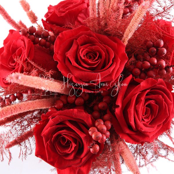 Red Preserved Roses & Silver Pot
