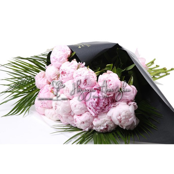 Pink Beauty Peony
