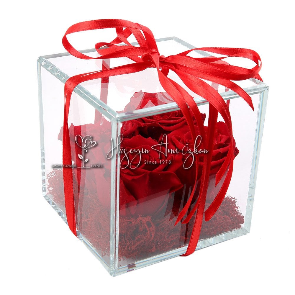 Red Preserved Roses & Glass