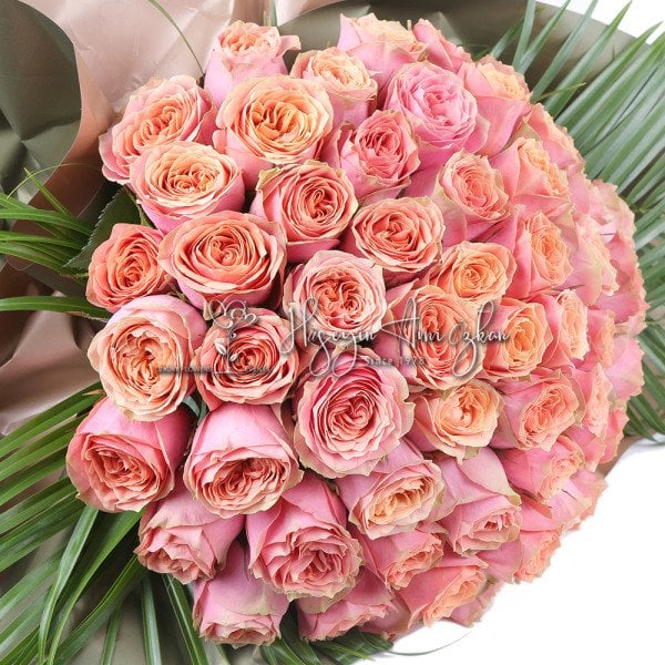 Dream Roses