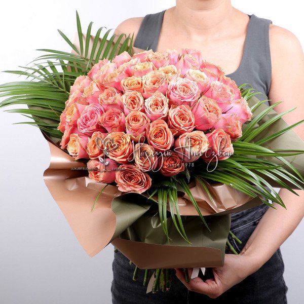 Dream Roses