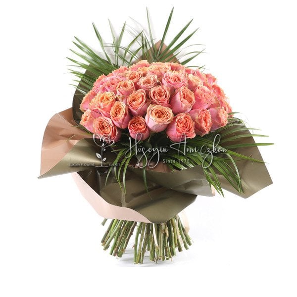 Dream Roses