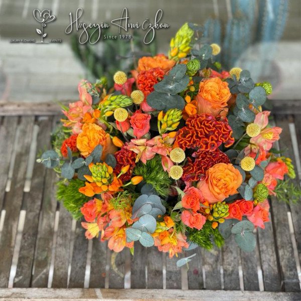 Celosia