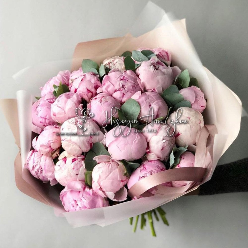 Light Pink Peony