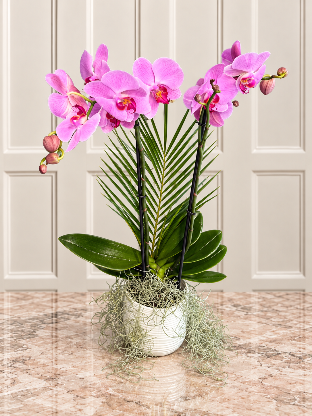 İki Dallı Pembe Phalaenopsis Orkide Aranjmanı