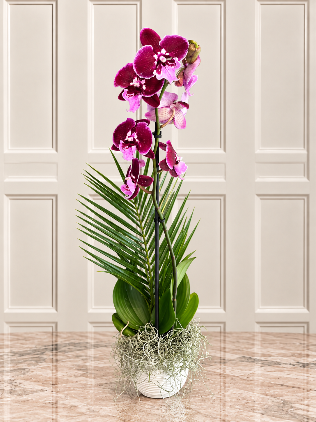 Bordo Phalaenopsis Orkide Aranjmanı