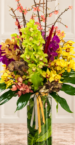 Renkli Cymbidium Orkide Aranjmanı